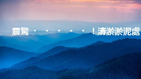 震驚！清淤淤泥處理公司哪家強(qiáng)？在線等，挺急的！